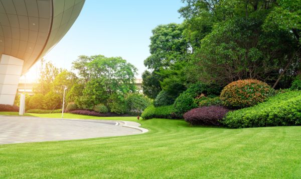 Commercial Shrub Trimming in Van Nuys