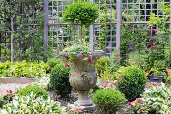 Topiary Pruning in Van Nuys