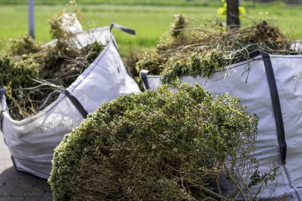 Shrubs Removal in Van Nuys