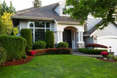 Trimmed Shrubs in a Front Yard
