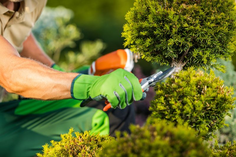 Professional Shrub Trimming Service